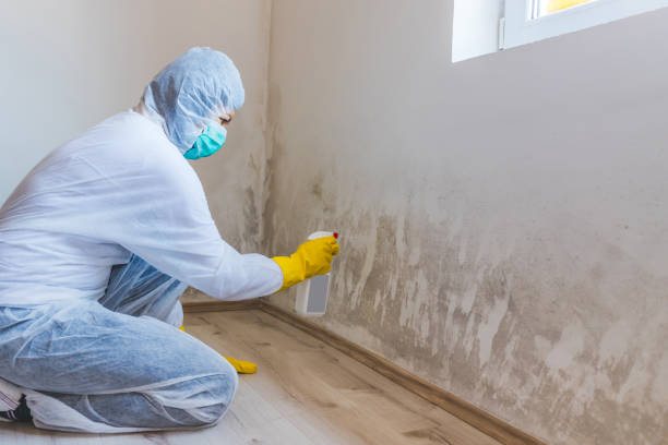 Best Fast Mold Removal  in Garrison, TX