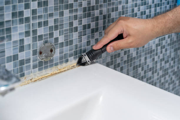 Trusted Garrison, TX Mold Removal Experts