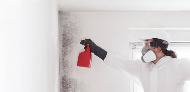 Best Crawl Space Mold Removal  in Garrison, TX
