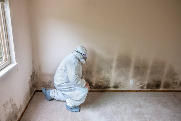 Best Mold Testing  in Garrison, TX