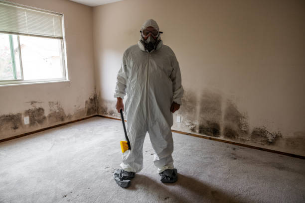 Best Affordable Mold Removal  in Garrison, TX