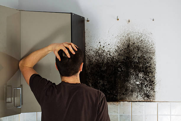 Best Certified Mold Removal  in Garrison, TX