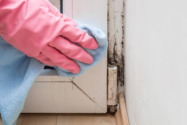 Best Mold Cleaning Services  in Garrison, TX