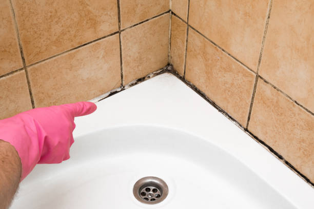 Best Local Mold Removal Service  in Garrison, TX